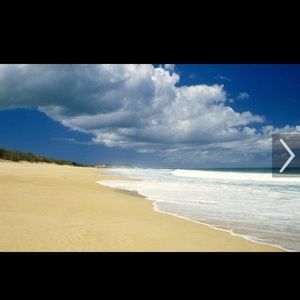 Meet your Posher, Deanne